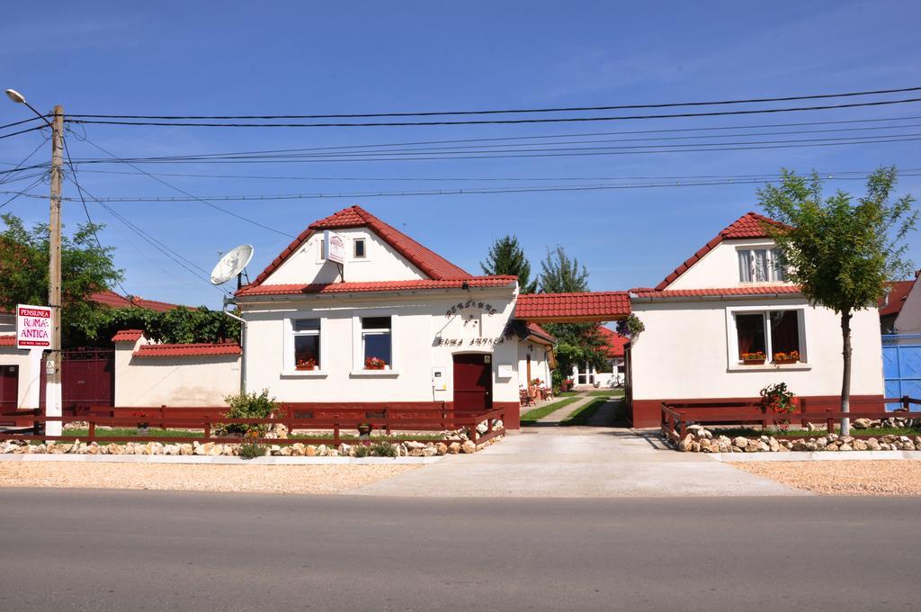 Pensiunea Roma Antica Harman ภายนอก รูปภาพ
